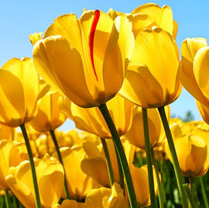 Meet your Posher, Lc